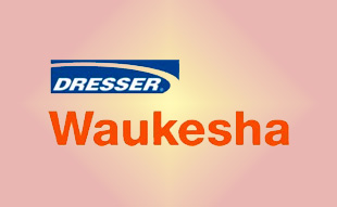 ✓ Waukesha А740106E Кислородный датчик 